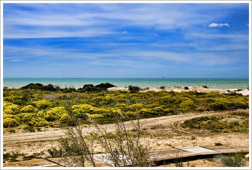 sea beach sand mare sicily spiaggia sicilia sabbia platinumphoto olympuse510 rapis60 andrearapisarda marinadibutera