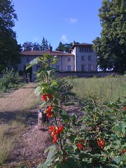 La Grande Maison - Photo of La Chamba