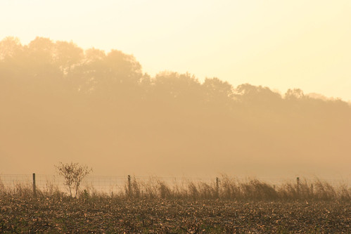 nature monochrome fog agriculture oxfordohio