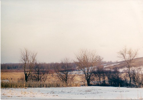 winter snow wisconsin landscape marsh