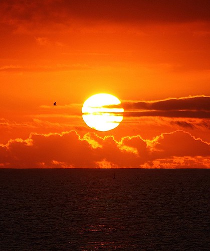 orange sol clouds sunrise mar playa nubes puestadesol naranja horizonte thenaturesgreenpeace concursodefotografíasientotenerife