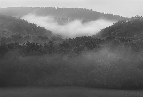 blackandwhite mountains fog clouds rural ar arkansas ozarks lowclouds d300 ozarkmountains ponca matthoward matthewhoward nikond300 poncaar poncawildernessarea mshhoward