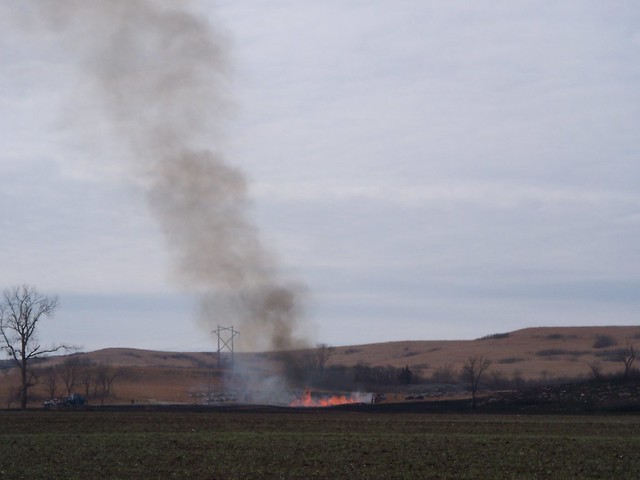 burning a field