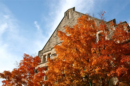 autumn trees color building fall beauty architecture buildings landscape landscapes colorful indiana bloomington indianauniversity iu