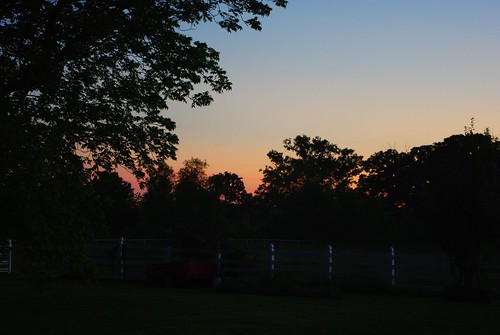 trees sunset dusk silhouettes arkansas