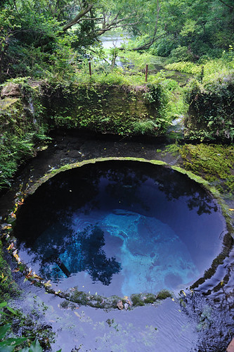 blue water spring fuji mt
