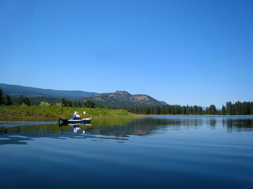 blue sky reflection grass forest river washington kayak clear inflatable paddling