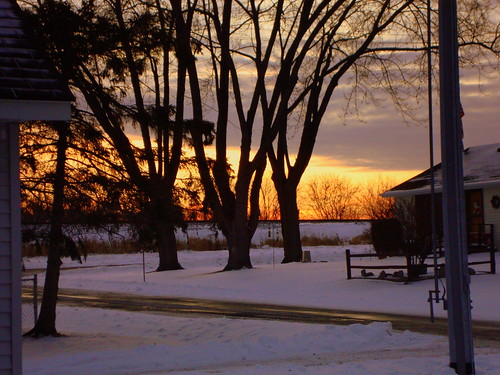 trees sunset snow wi marshfield wisconsinwinter