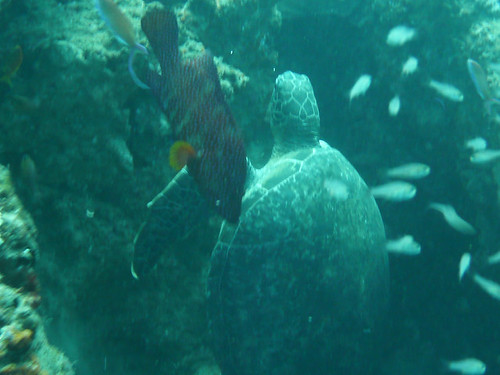 Sodwana Bay