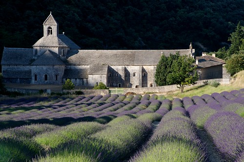 france abbey provence lavendar sénanque