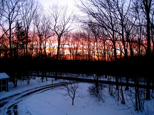 trees winter sunset snow colorful pretty artistic connecticut