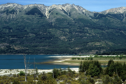 trees patagonia white mountain lake green nature water ecology argentina forest mouth river landscape natural south conservation andes vegetation environment habitat biology slope andean chubut patagonian lagopuelo the4elements subantartic parquenacionallagopuelo lagopuelonationalpark