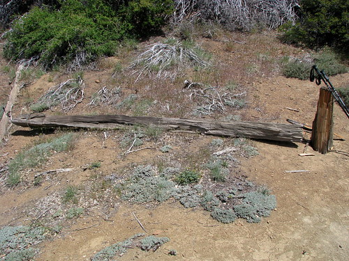 The Last Remaining Telegraph Pole Up On Pine Mountain Ridgeline, Trail 22W03