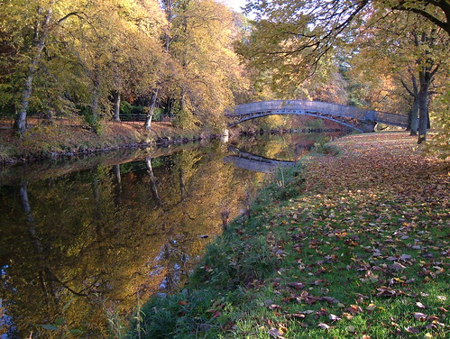 bridge autumn trees brown reflection tree green water yellow reflections river scotland leaf stream bridges autumncolours reflect rivers waters streams riverbank leafs borders brig thefall autumntrees waterreflection brigs hawick teviot mirrorreflection scottishborders riverteviot wiltonlodgepark fujifinepixa607 spetch riverreflection leaveleaves spetchmanspool lauriebridge bbng