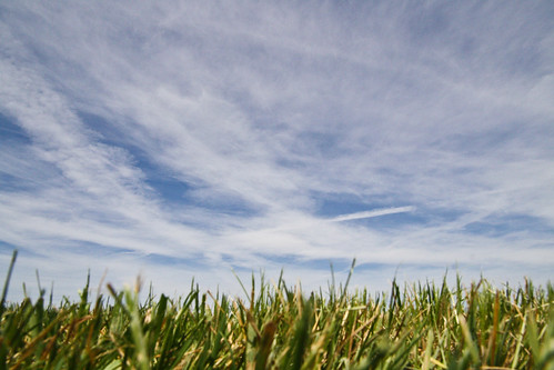 blue sky grass canon eos washington pod ground explore lowangle explored canonxs canonxseos ©brianpodruznyphotography