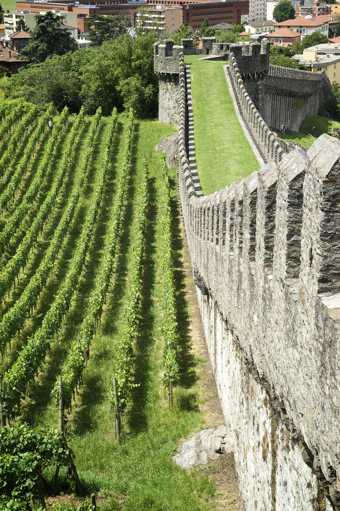 The Walls of Castelgrande