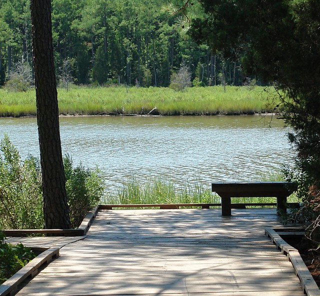 A convenient bench at beautiful Virginia State Park - Belle Isle State Park