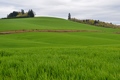 county trip green field grass bicycle oregon spring nikon ride hill may marion valley 緑 willamette 草 d7000 edmundgarman