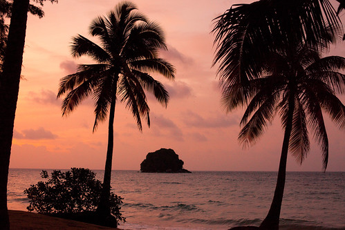sunset sea tree island palm malaysia pulautioman flickrlovers