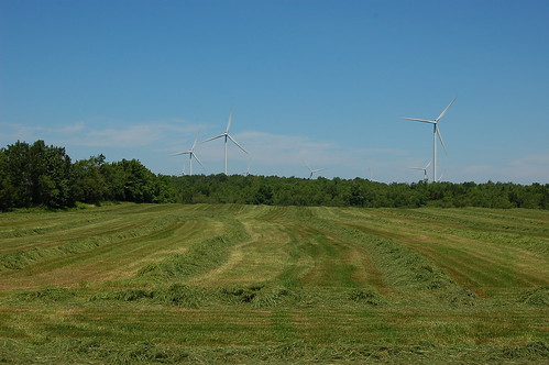newyork field geotagged wind hay turbine dsc3988 geo:lat=43753266 geo:lon=75579825