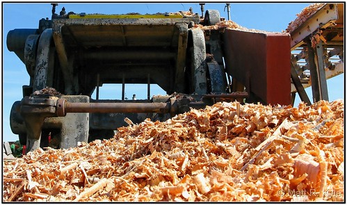 canon sawmill fortwayne woodchips planer steamshow g9 tractorshow maumeevalley