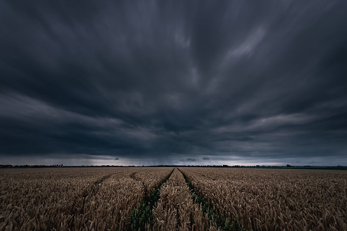 rain agriculture barley blackandwhite climate cloud clouds cloudscape crops dark darkness dramatic energy farmland field gloomy horizon nature overcast rural sky storm sunset weather wheat