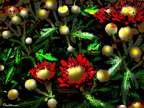 garden autum pearls otoño gabbcan