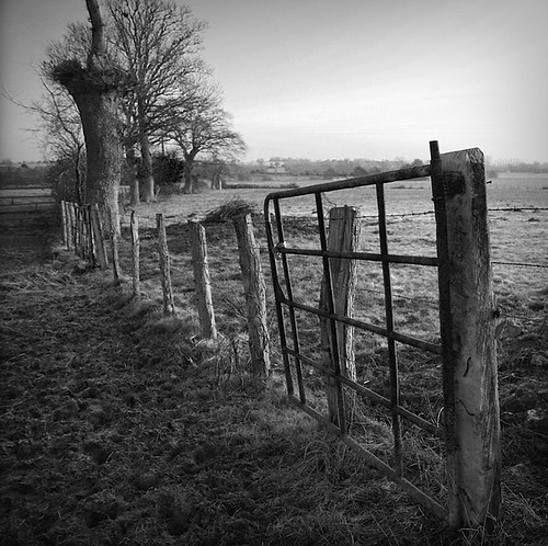 field fence landscape campagne champ clôture