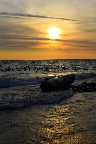 ontario beach june sunrise hamilton lakeontario canadageese confederationpark granka mygearandme ringexcellence