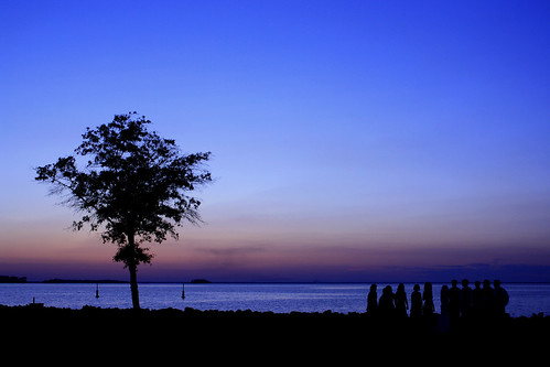 blue wedding sunset people lake tree southcarolina silhouettes bluesky somerset reception lakemoultrie
