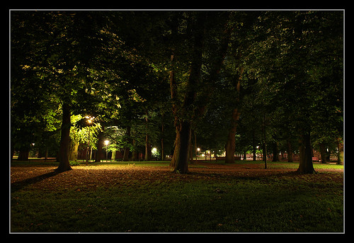 trees lund night lights shadows sweden sverige lundagård