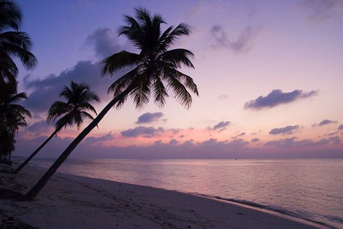 pink blue sunset sky india tree beach silhouette clouds island sandy palm afterglow desrt lakshadweepislands woolyboy