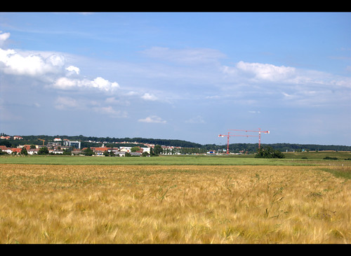 city field landscape nikon view wheat champs session paysage blé d40 grangeauxbois