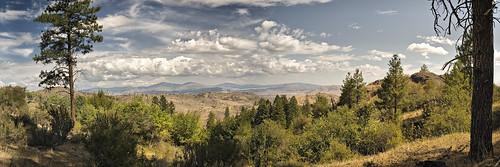 trees sky panorama mountain clouds desert cascades wandering101photography