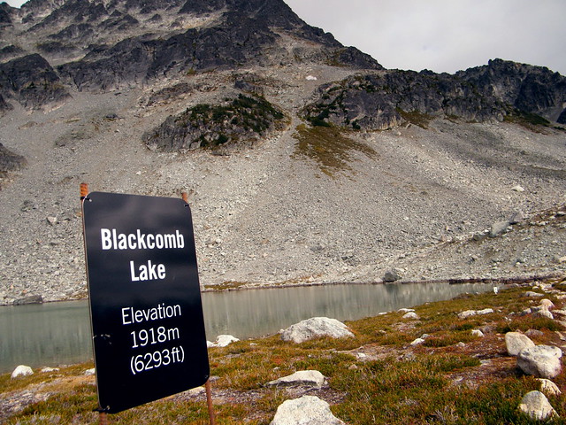 Blackcomb Trail Walk