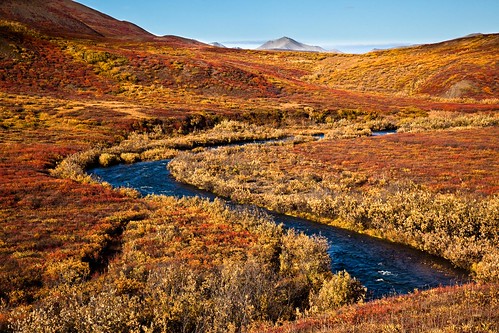red sky orange mountain water yellow alaska creek landscape moss stream willow 5d tundra 24105mm reddogmine reddogcreek