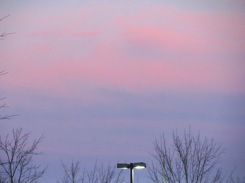 lumberton nc northcarolina robesoncounty nature outdoors outside evening dusk sunset tree trees sky colors