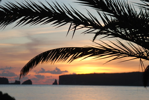 sunset sky seascape colour slr silhouette landscape islands nikon focus palm greece palmtree dslr paintedsky pilos d80 nikond80