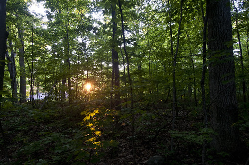 sunset ontario geotagged woods nicholsonpoint