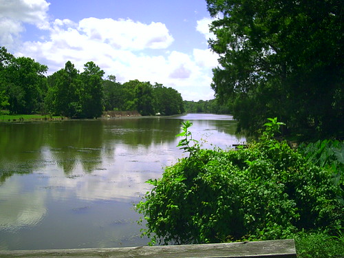 landscape louisiana bayou cajun jeanerette acadiana bayouteche