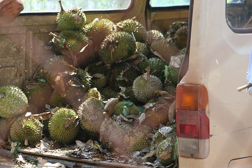 malaysia durian muar geotagging