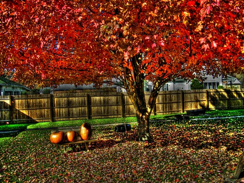 autumn fall rural october freehand hdr photomatix