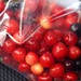 life is just a bag of cherries    MG 6214