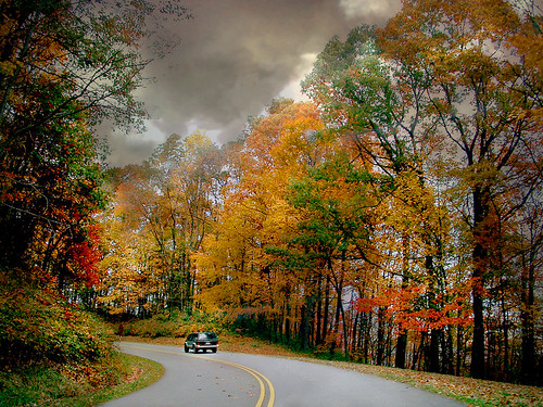 road autumn fall colors car woods soe blueridgeparkway infinestyle
