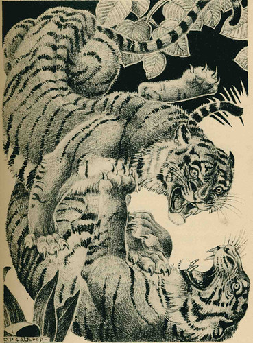 art by dorothy thought stripes illustrated authority creative free evolution will independent jungle tigers conflict endangered bengal survival extinction mankind lathrop nileseldredge fierceface soveriegnty thesixthextinction