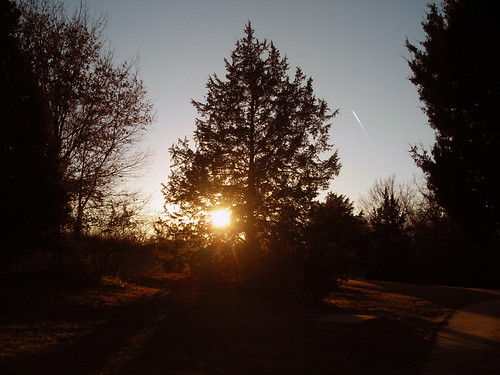 park sunset tree oakland columbiamo