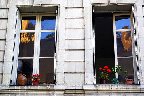 flowers windows france reflections façade chinon rubin rubindiehl fênetres rubinpedro rpdiehl