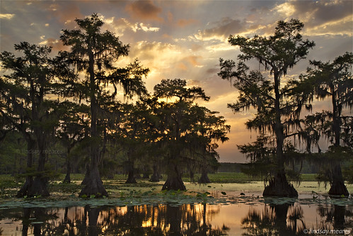statepark sun lake clouds sunrise ray texas tx swamp uncertain sunray caddolake