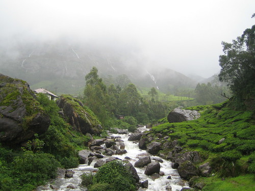 india green kerala hills streams munnar