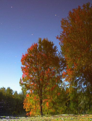 autumn ontario fall creek automne reflections nikon colours ottawa canoe 7600 couleur ruisseau constancebay baieconstance